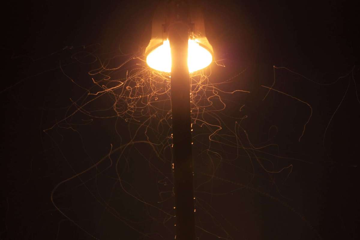street lamp